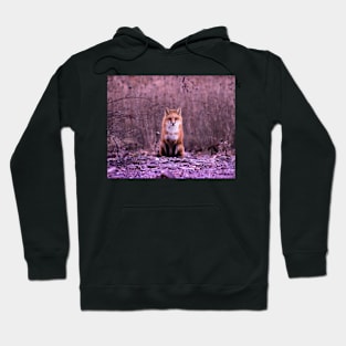 HAPPY Fox Pattern Hoodie